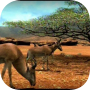 Afrika