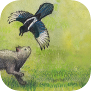Milo and the Magpies
