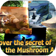 Mushroom Age Lite