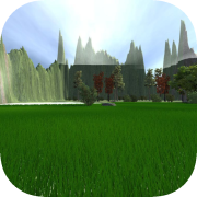 The wilderness of the forest