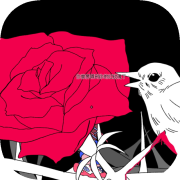白花 the white flower
