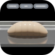 Kit De Ciencia Domestica Para Acabar Con El Mundo