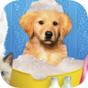 Paws & Claws: Pampered Pets