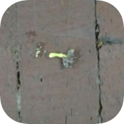 So. . . App Icon