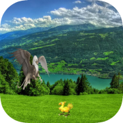 Watch the move(HW#4).
