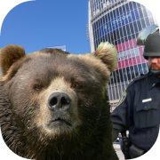 Bear vs. Human