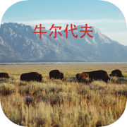 牛尔代夫