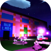 What's Sub?