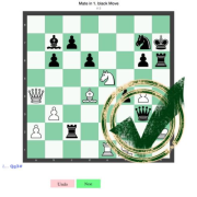 Chess? OK! - 3000 unique chess problems