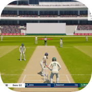 Cricket 19