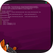 Foxy Proxy App Icon