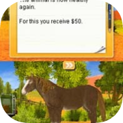 Paws & Claws Pet Vet Australian Adventures