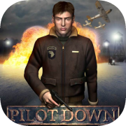 Pilot Down: Behind Enemy Lines