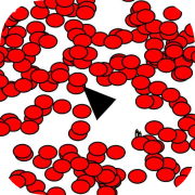triangle 0.01-version App Icon