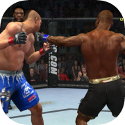 UFC 2009 Undisputed