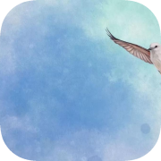 Wingspan